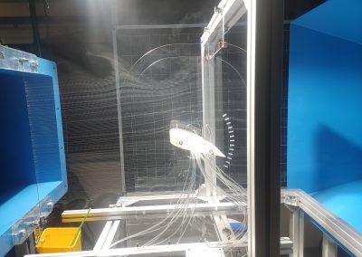 Polyjet 3D křídlo v aerodynamickém tunelu 2